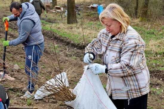 Posadzili drzewa. Wspólna akcja z Nadleśnictwem Świdnica 