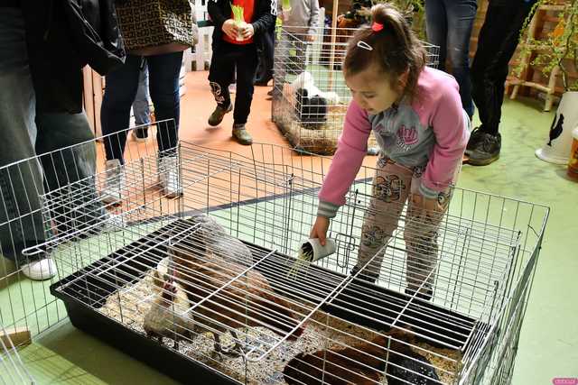 [WIDEO/FOTO] Tradycyjne potrawy i wypieki, zagroda zwierząt, występy i świąteczne ozdoby podczas Kiermaszu Wielkanocnego w Żarowie