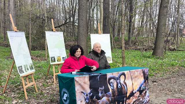 [WIDEO, FOTO] Trzy nowe rezerwaty przyrody na Dolnym Śląsku. Jeden z nich znajduje się na terenie naszego powiatu