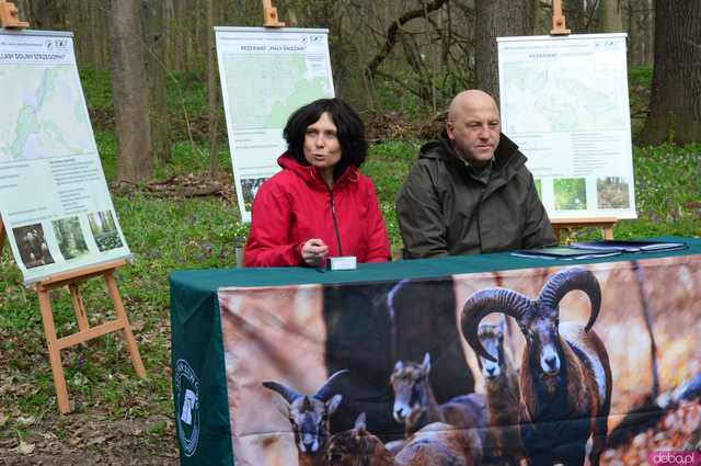 [WIDEO, FOTO] Trzy nowe rezerwaty przyrody na Dolnym Śląsku. Jeden z nich znajduje się na terenie naszego powiatu