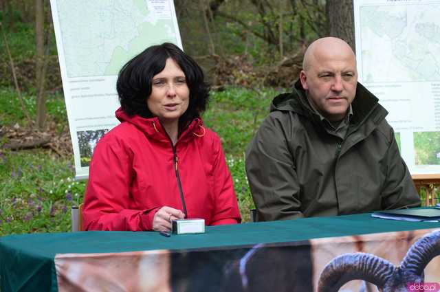 [WIDEO, FOTO] Trzy nowe rezerwaty przyrody na Dolnym Śląsku. Jeden z nich znajduje się na terenie naszego powiatu