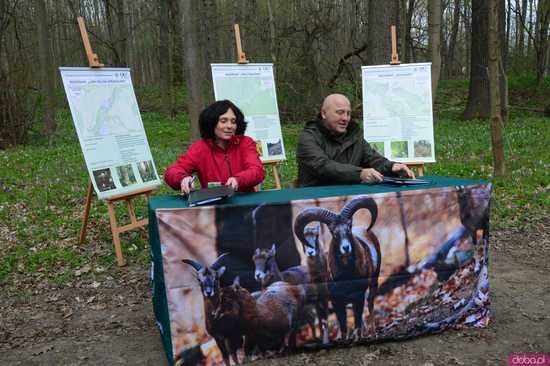 [WIDEO, FOTO] Trzy nowe rezerwaty przyrody na Dolnym Śląsku. Jeden z nich znajduje się na terenie naszego powiatu