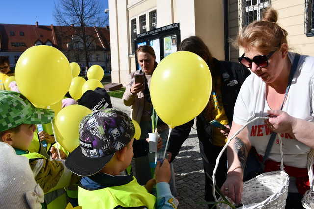 [FOTO] Podsumowano akcję Pola Nadziei w Świebodzicach