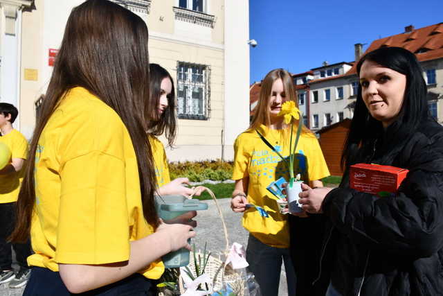 [FOTO] Podsumowano akcję Pola Nadziei w Świebodzicach