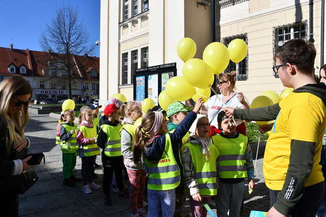 [FOTO] Podsumowano akcję Pola Nadziei w Świebodzicach