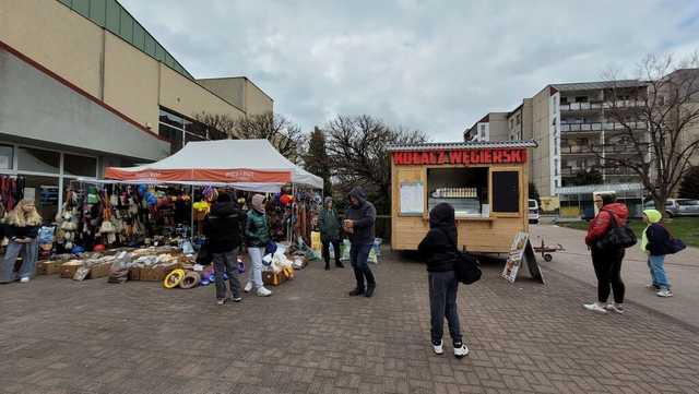 [FOTO] Za nami 74. Krajowa Wystawa Psów Rasowych w Świebodzicach