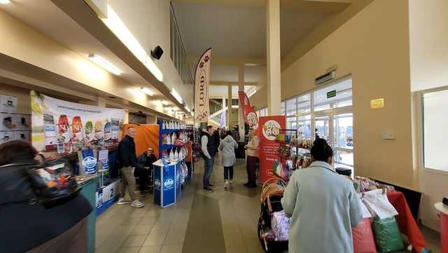 [FOTO] Za nami 74. Krajowa Wystawa Psów Rasowych w Świebodzicach