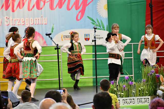 [WIDEO/FOTO] Magia świąt, bogato zastawione stoły oraz występy artystyczne na Jarmarku Wielkanocnym w Strzegomiu
