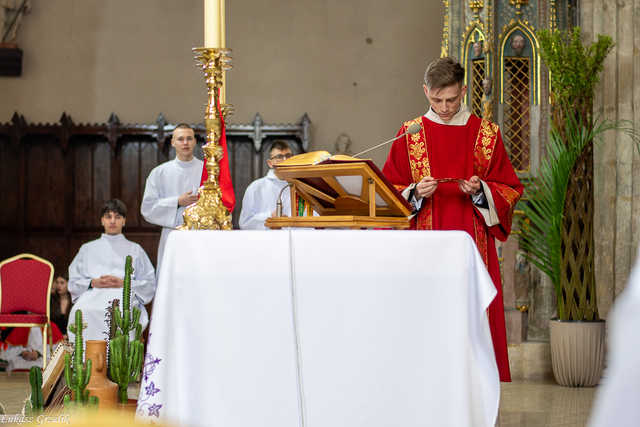 [WIDEO/FOTO] Magia świąt, bogato zastawione stoły oraz występy artystyczne na Jarmarku Wielkanocnym w Strzegomiu