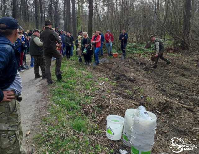 [FOTO] Wspólnie sadzili las w Jaworzynie Śląskiej