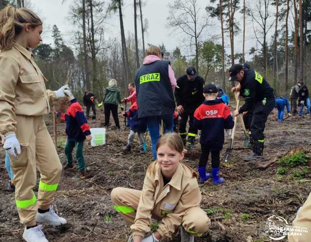 [FOTO] Wspólnie sadzili las w Jaworzynie Śląskiej