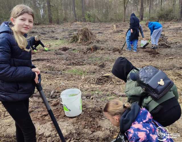 [FOTO] Wspólnie sadzili las w Jaworzynie Śląskiej