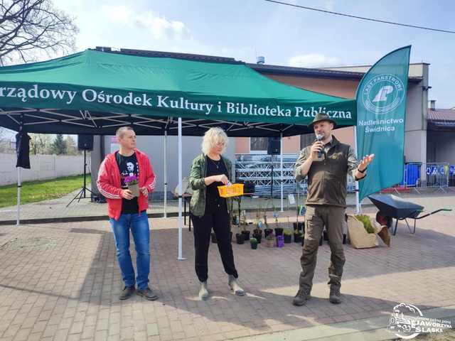 [FOTO] Wspólnie sadzili las w Jaworzynie Śląskiej