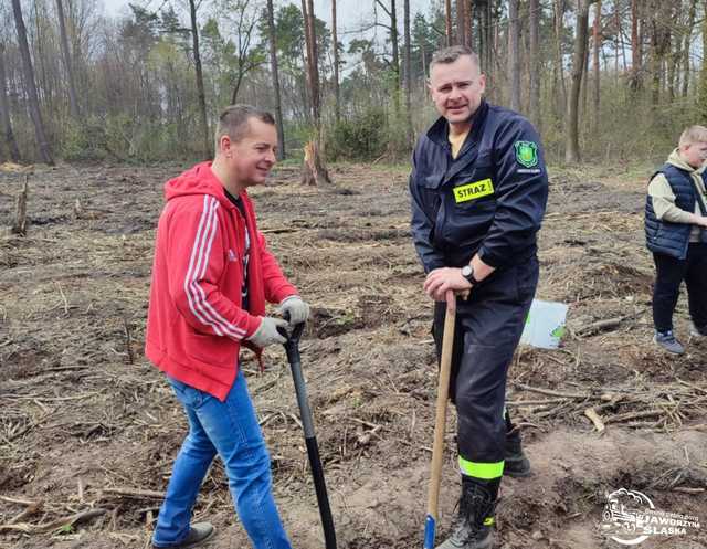 [FOTO] Wspólnie sadzili las w Jaworzynie Śląskiej