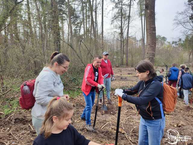 [FOTO] Wspólnie sadzili las w Jaworzynie Śląskiej