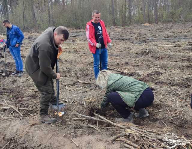 [FOTO] Wspólnie sadzili las w Jaworzynie Śląskiej