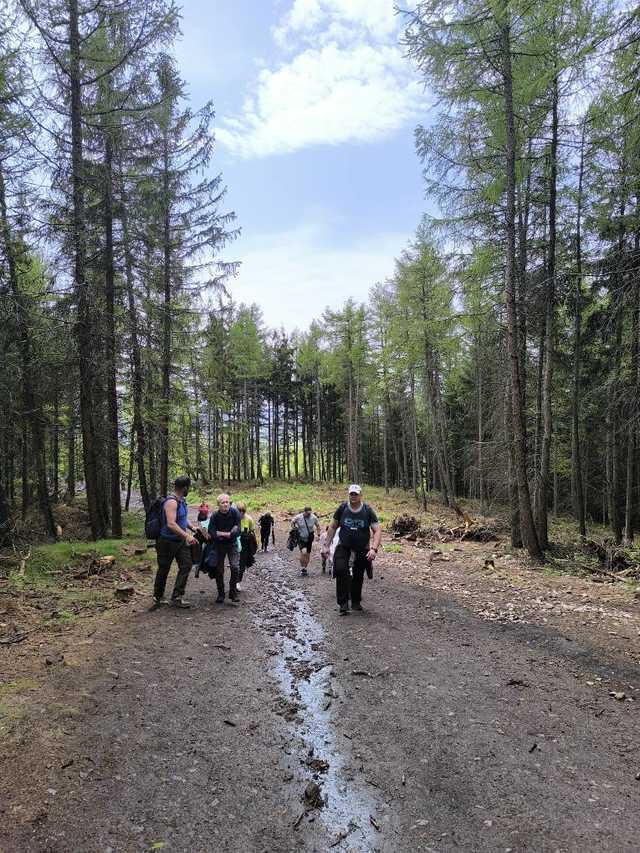[FOTO] Gminny Rajd z Flagą. Gminne Koło PTTK Teraz Sudety wyruszyło na Dzikowiec