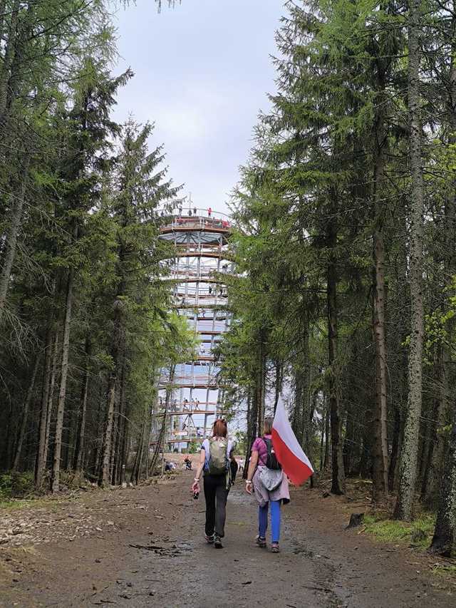 [FOTO] Gminny Rajd z Flagą. Gminne Koło PTTK Teraz Sudety wyruszyło na Dzikowiec