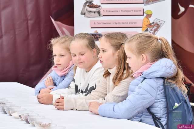 [WIDEO/FOTO] Prawdziwy raj dla łasuchów. Trwa Bajkowy Festiwal Słodkości w Świdnicy