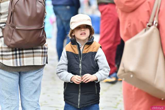 [WIDEO/FOTO] Prawdziwy raj dla łasuchów. Trwa Bajkowy Festiwal Słodkości w Świdnicy