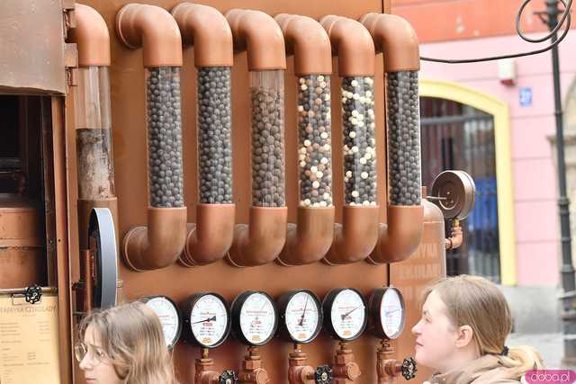 [WIDEO/FOTO] Prawdziwy raj dla łasuchów. Trwa Bajkowy Festiwal Słodkości w Świdnicy