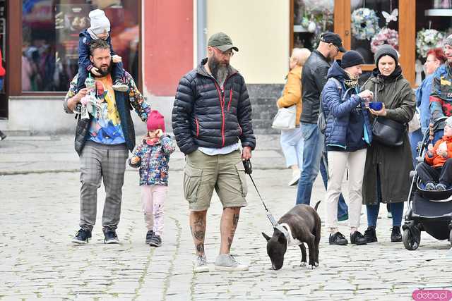 [WIDEO/FOTO] Prawdziwy raj dla łasuchów. Trwa Bajkowy Festiwal Słodkości w Świdnicy
