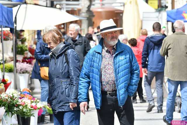 [WIDEO/FOTO] Na świdnickim rynku ruszyły Targi Talentów, Twórczości i Rękodzieła