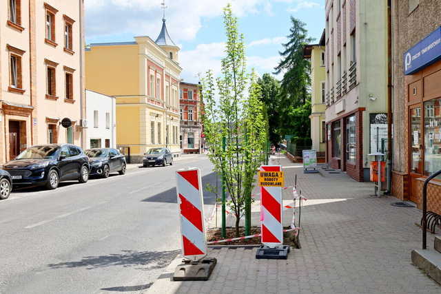 [FOTO] Więcej zieleni na ulicach Żarowa