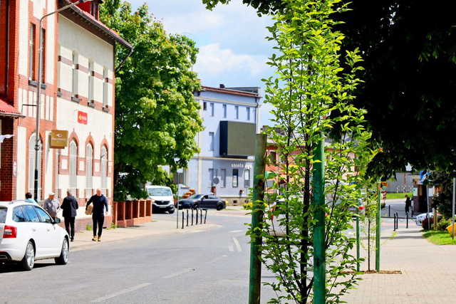 [FOTO] Więcej zieleni na ulicach Żarowa