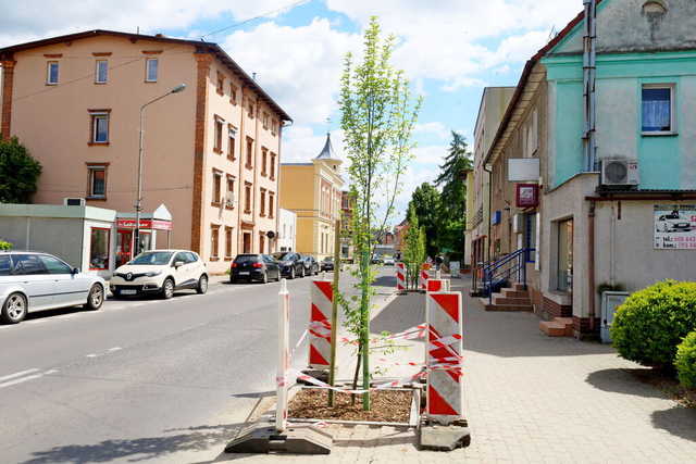 [FOTO] Więcej zieleni na ulicach Żarowa