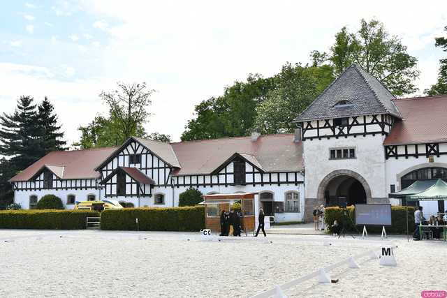 galeria