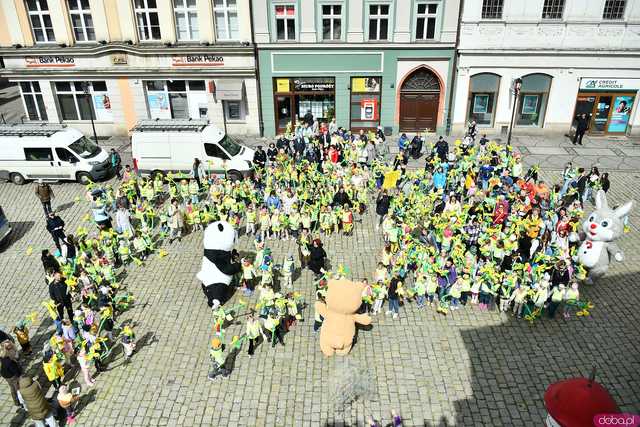 [WIDEO/FOTO] Cieszmy się nadzieją. Żółty Marsz ponownie przeszedł przez świdnicki rynek