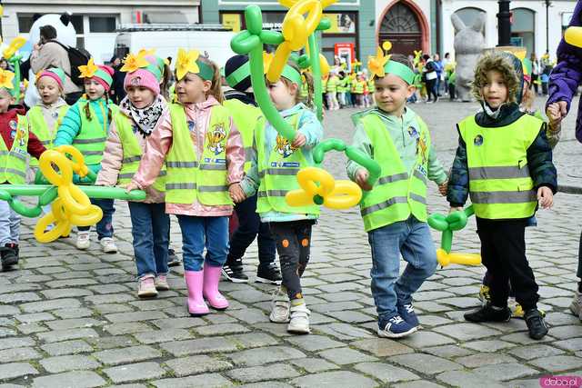 [WIDEO/FOTO] Cieszmy się nadzieją. Żółty Marsz ponownie przeszedł przez świdnicki rynek