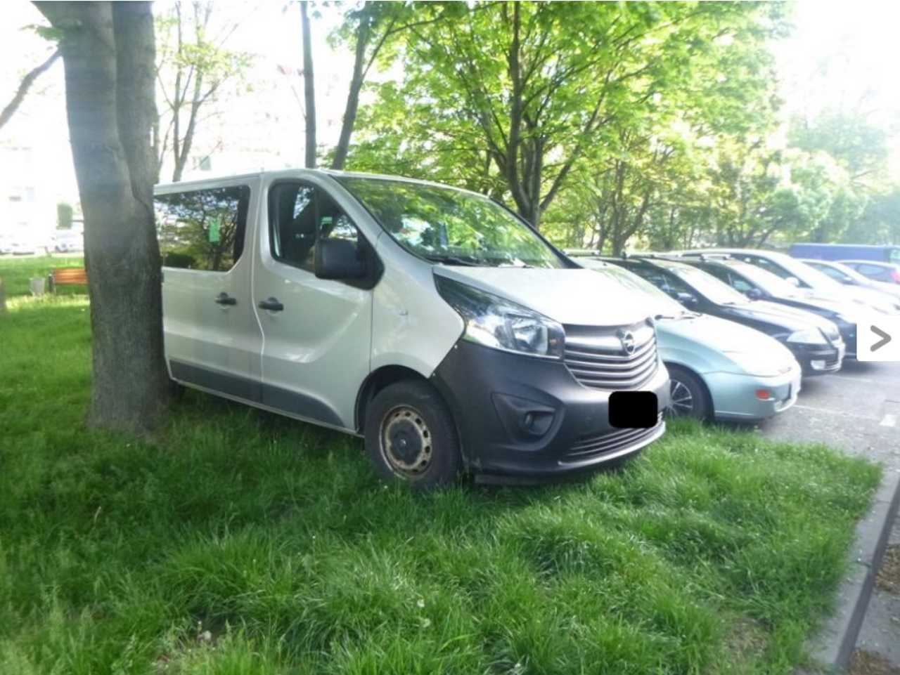 Zaniedbany pies, niesforni bezdomni i pojazd z pozostawioną uchyloną szybą. Interwencje Straży Miejskiej