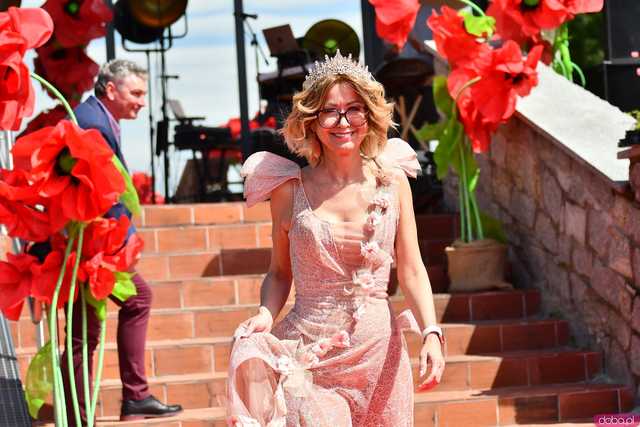 [WIDEO/FOTO] Pokaz mody, koncert, licytacje i moc atrakcji dla dzieci na charytatywnym Pikniku Rodzinnym w Winnicy Silesian