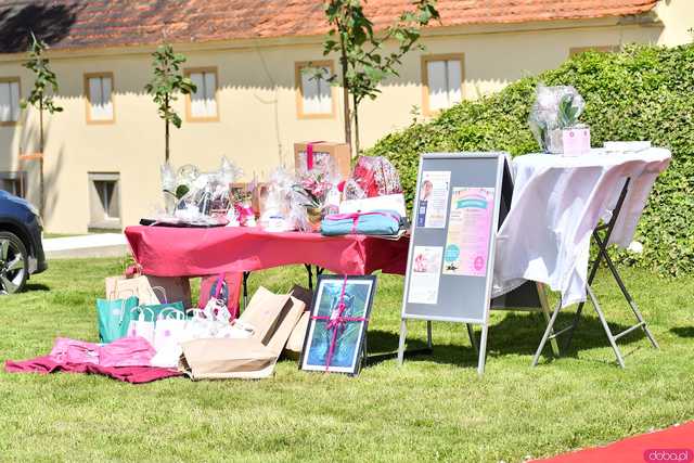 [WIDEO/FOTO] Pokaz mody, koncert, licytacje i moc atrakcji dla dzieci na charytatywnym Pikniku Rodzinnym w Winnicy Silesian
