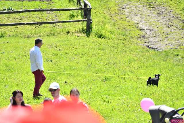 [WIDEO/FOTO] Pokaz mody, koncert, licytacje i moc atrakcji dla dzieci na charytatywnym Pikniku Rodzinnym w Winnicy Silesian