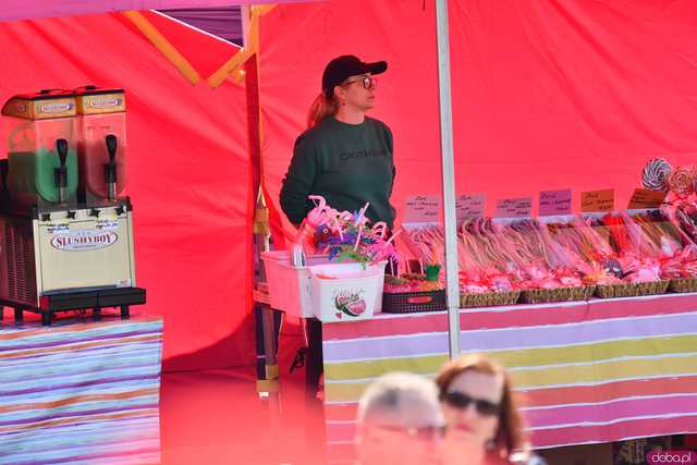 [WIDEO/FOTO] Pokaz mody, koncert, licytacje i moc atrakcji dla dzieci na charytatywnym Pikniku Rodzinnym w Winnicy Silesian