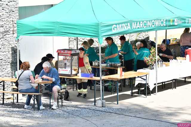 [WIDEO/FOTO] Pokaz mody, koncert, licytacje i moc atrakcji dla dzieci na charytatywnym Pikniku Rodzinnym w Winnicy Silesian