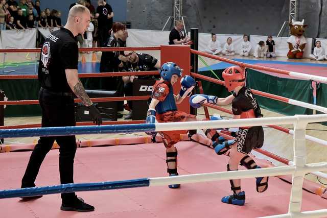 Medalowy weekend fighterów