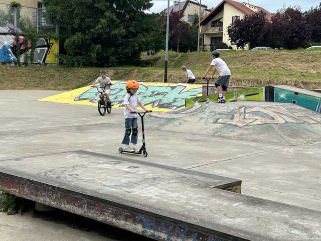 Skate