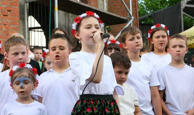 [FOTO] Piknik z historią w tle. Na wzgórzu Wieżyca upamiętniono 280. rocznicę bitwy pod Dobromierzem