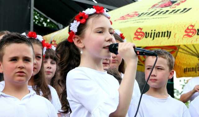 [FOTO] Piknik z historią w tle. Na wzgórzu Wieżyca upamiętniono 280. rocznicę bitwy pod Dobromierzem