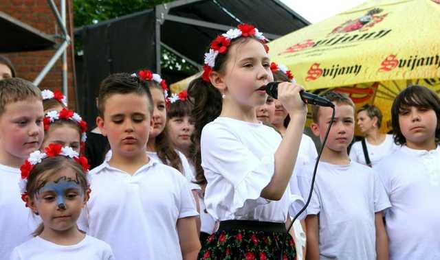 [FOTO] Piknik z historią w tle. Na wzgórzu Wieżyca upamiętniono 280. rocznicę bitwy pod Dobromierzem