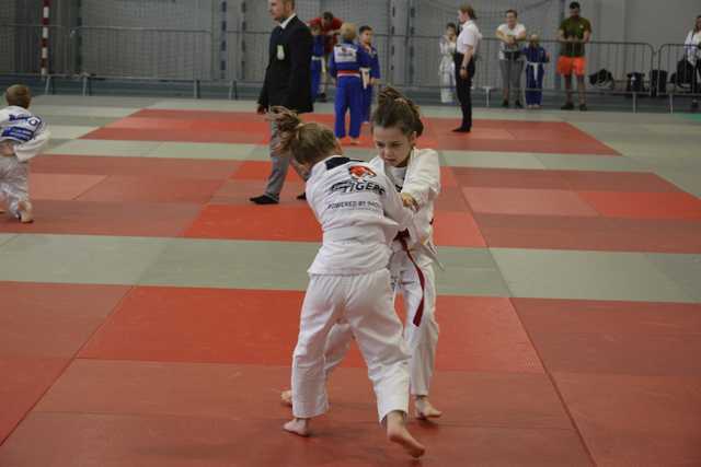 [FOTO] Upamiętnili Edwarda Brzegowego w duchu sportowej rywalizacji podczas XXIII Międzynarodowego Memoriału Judo w Strzegomiu