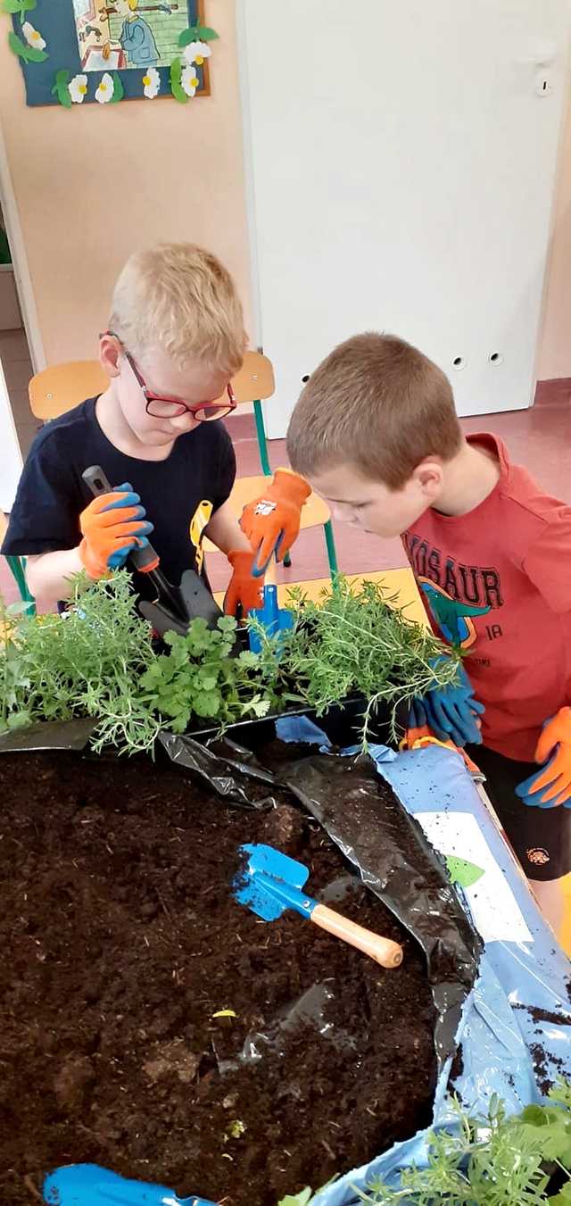 Zielony zakątek w „Bajkowej Dolince” w Pszennie 