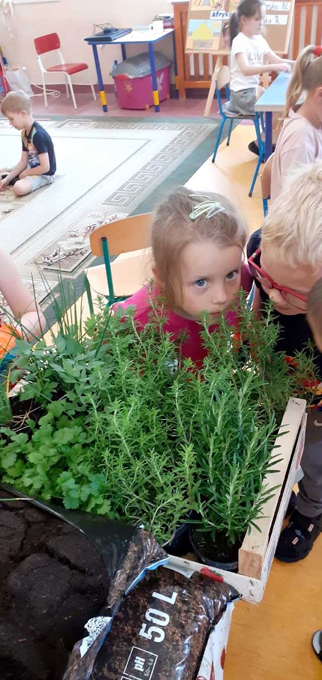 Zielony zakątek w „Bajkowej Dolince” w Pszennie 