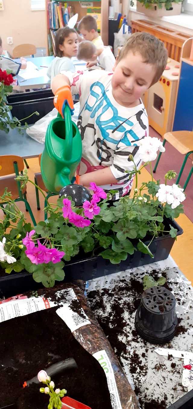 Zielony zakątek w „Bajkowej Dolince” w Pszennie 