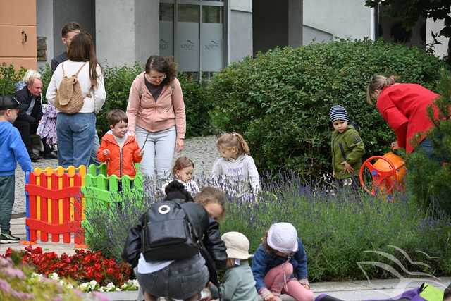 [FOTO] Zakończenie cyklu warsztatów bibliotecznych Czytelniaki na Skwerze z dzikami