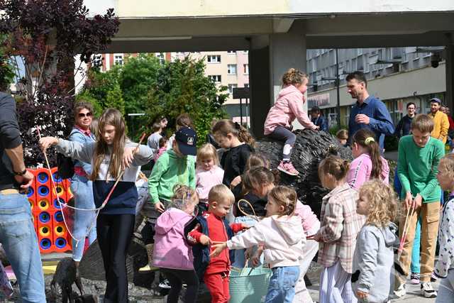 [FOTO] Zakończenie cyklu warsztatów bibliotecznych Czytelniaki na Skwerze z dzikami
